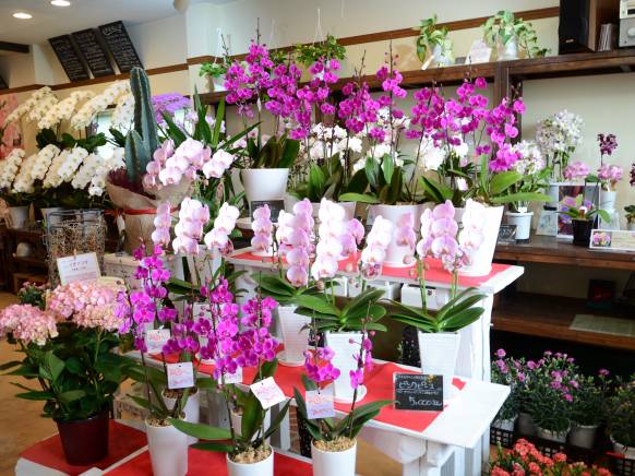 大分県豊後高田市の花屋 花れんにフラワーギフトはお任せください 当店は 安心と信頼の花キューピット加盟店です 花キューピットタウン
